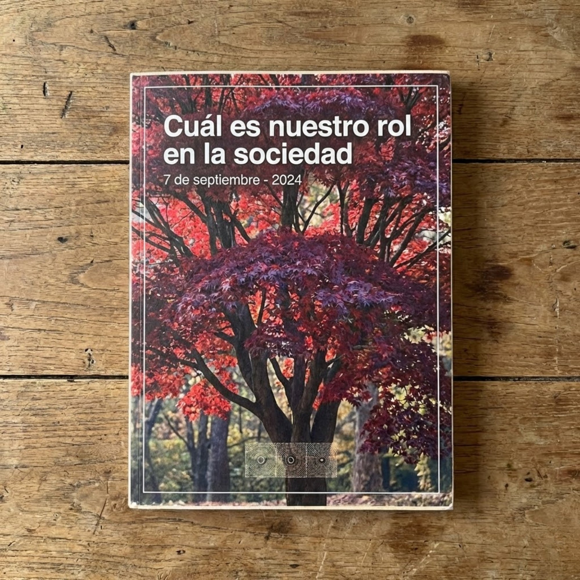 Informes poéticos (2024 - 2025)